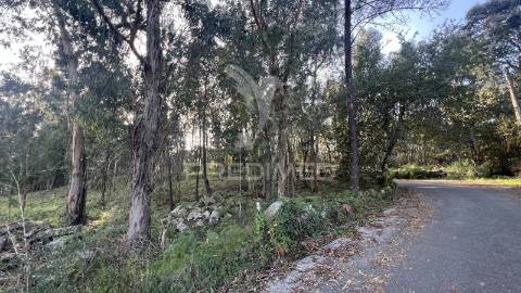 Terreno de gaveto para construção - turiz, vila verde (1305m2)