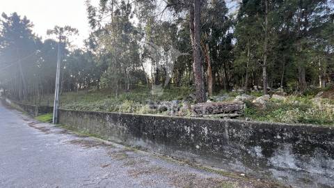 Terreno de gaveto para construção - turiz, vila verde (1305m2)