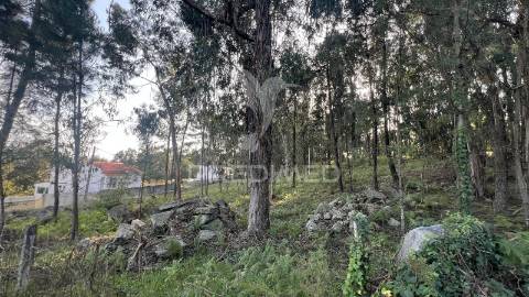 Terreno de gaveto para construção - turiz, vila verde (1305m2)