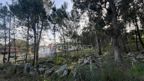 Terreno de gaveto para construção - turiz, vila verde (1305m2)