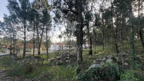 Terreno de gaveto para construção - turiz, vila verde (1305m2)