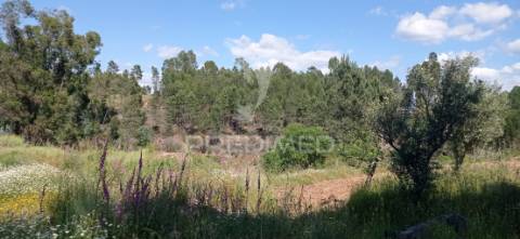 Ruína em aldeia perto de mação