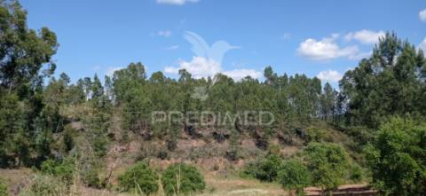 Ruína em aldeia perto de mação