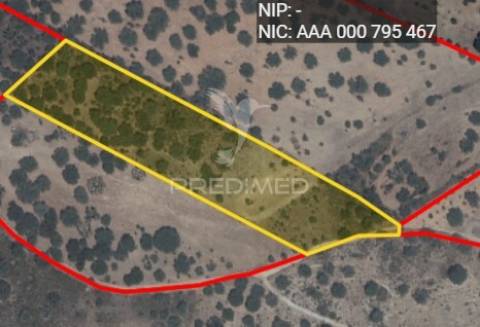 Terreno rústico de 1,5 hectares à venda, alandroal