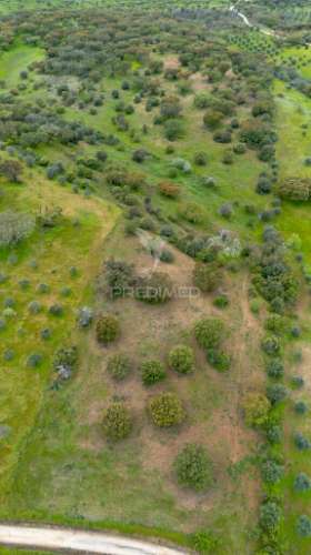 Terreno rústico de 5 hectares à venda ,alandroal