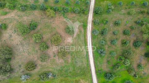 Terreno rústico de 5 hectares à venda ,alandroal
