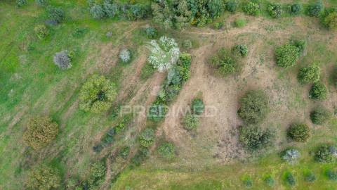 Terreno rústico de 5 hectares à venda ,alandroal