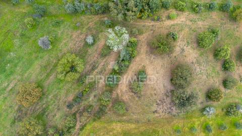 Terreno rústico de 5 hectares à venda ,alandroal