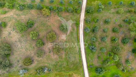 Terreno rústico de 5 hectares à venda ,alandroal