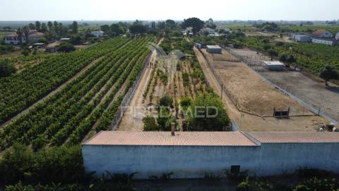 Maravilhosa quinta rural com terreno com 55750m2
