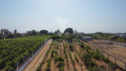 Maravilhosa quinta rural com terreno com 55750m2