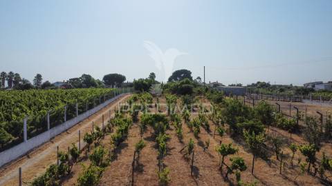 Maravilhosa quinta rural com terreno com 55750m2