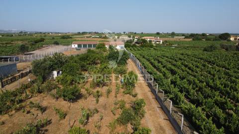 Maravilhosa quinta rural com terreno com 55750m2