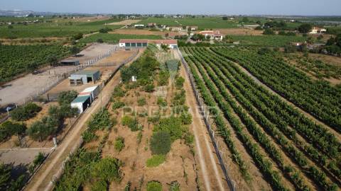 Maravilhosa quinta rural com terreno com 55750m2