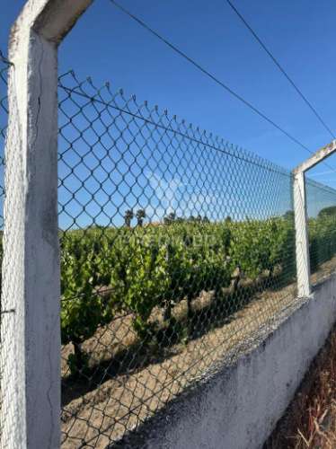 Maravilhosa quinta rural com terreno com 55750m2