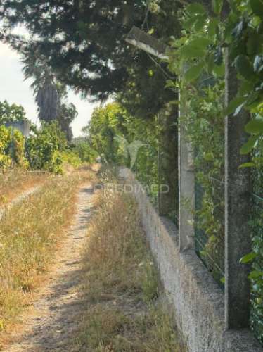 Maravilhosa quinta rural com terreno com 55750m2