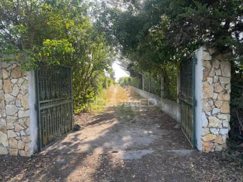 Maravilhosa quinta rural com terreno com 55750m2