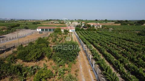 Maravilhosa quinta rural com terreno com 55750m2
