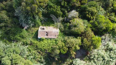 Herdade confinante com praia e linha mar