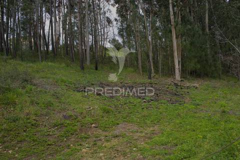 Terreno urbano na zona do forcado, telões, amarante, porto