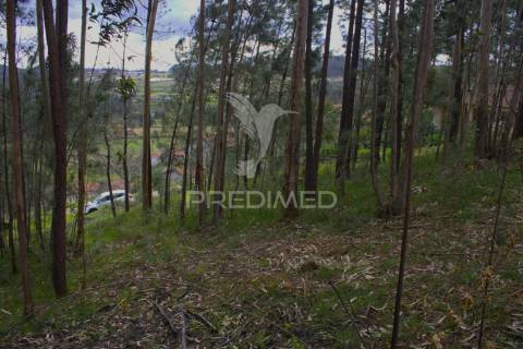 Terreno urbano na zona do forcado, telões, amarante, porto