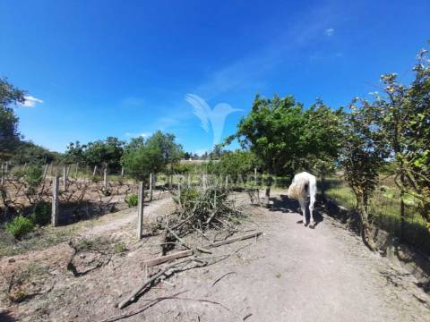 Moradia com piscina em cosntrução,agualva de cima, pegões.