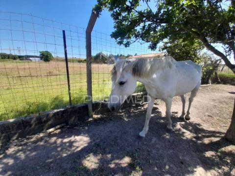 Moradia com piscina em cosntrução,agualva de cima, pegões.