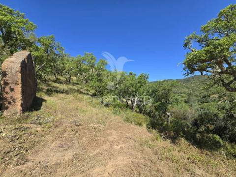Monte alentejano - serra de grândola