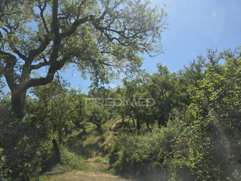 Monte alentejano - serra de grândola