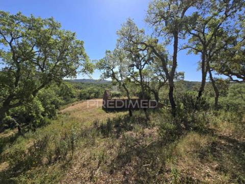 Monte alentejano - serra de grândola