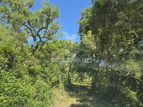 Monte alentejano - serra de grândola