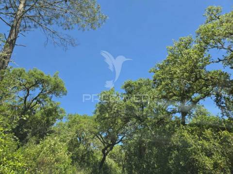 Monte alentejano - serra de grândola