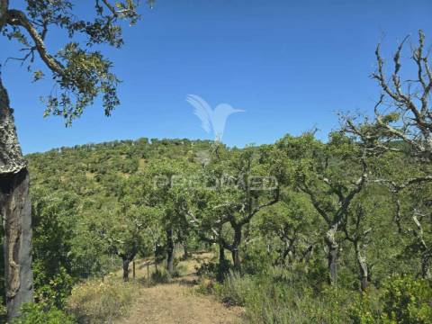 Monte alentejano - serra de grândola