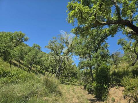Monte alentejano - serra de grândola