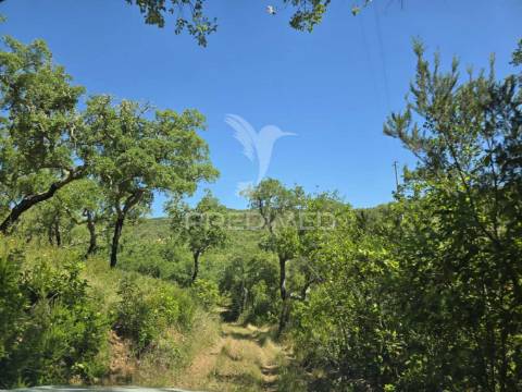 Monte alentejano - serra de grândola