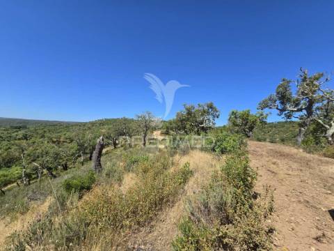 Monte alentejano - serra de grândola