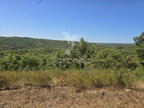 Monte alentejano - serra de grândola