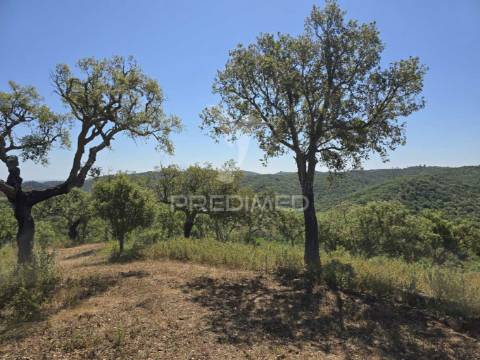Monte alentejano - serra de grândola