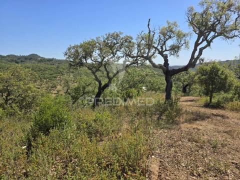 Monte alentejano - serra de grândola