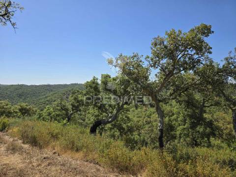 Monte alentejano - serra de grândola