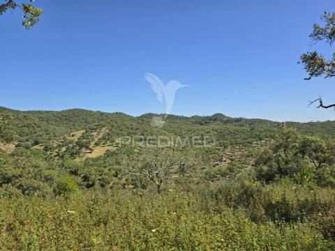 Monte alentejano - serra de grândola