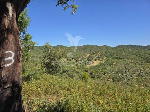 Monte alentejano - serra de grândola
