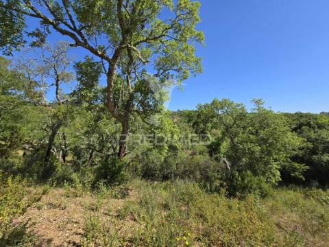 Monte alentejano - serra de grândola