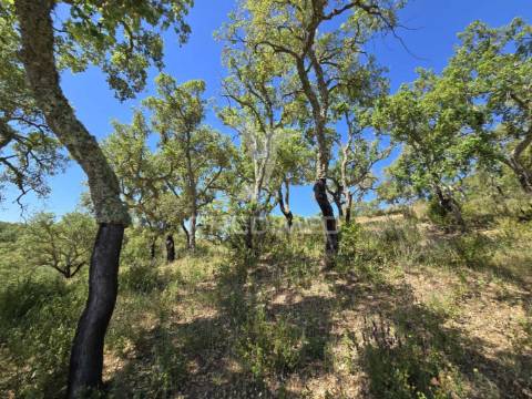 Monte alentejano - serra de grândola