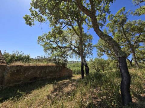 Monte alentejano - serra de grândola