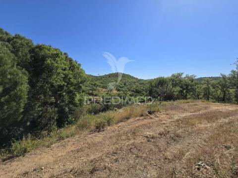 Monte alentejano - serra de grândola