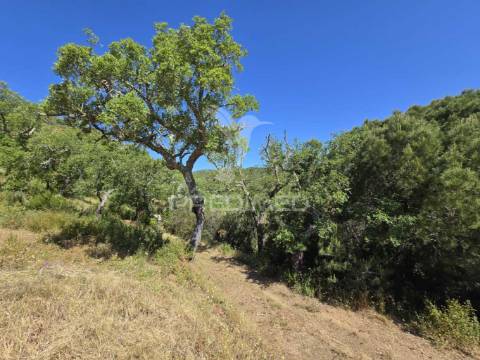 Monte alentejano - serra de grândola