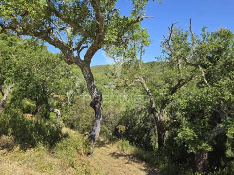 Monte alentejano - serra de grândola