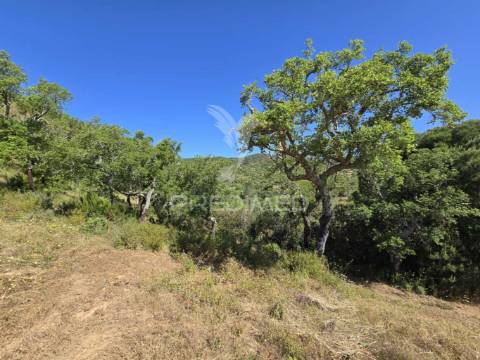 Monte alentejano - serra de grândola