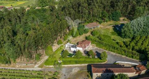 Duas quintas, com exploração agrícola e turismo rural;